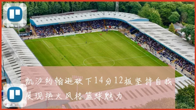 凯沙约翰逊砍下14分12板坚持自我展现热火风格篮球魅力